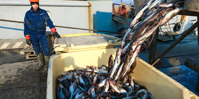 Рыбаки предупредили об удорожании промысла из-за пошлин на топливо