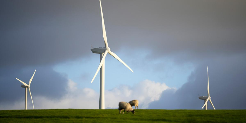 В ЕС доля энергии из возобновляемых источников впервые обогнала долю